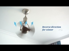 モダンな 14 インチ ニッケル DC 小型回転天井ファン リモコン