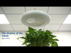 スマート アプリ コントロール寝室用 20 インチ フラッシュ マウント LED シーリング ファン