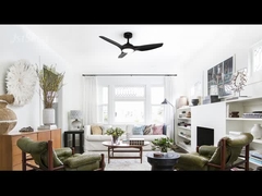 DCF-FS52920 48インチ