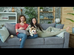 42インチ 天井扇風機 ランプACモーター スマートコントロール 4 木の刃